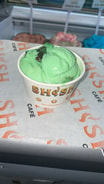 Mint Chocolate Ice Cream