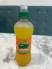 Fruit Shoot Orange